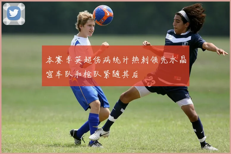 本赛季英超伤病统计热刺领先水晶宫车队和枪队紧随其后