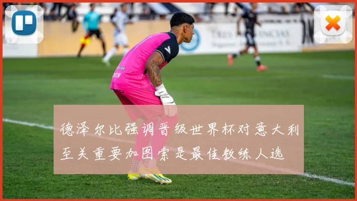 德泽尔比强调晋级世界杯对意大利至关重要加图索是最佳教练人选