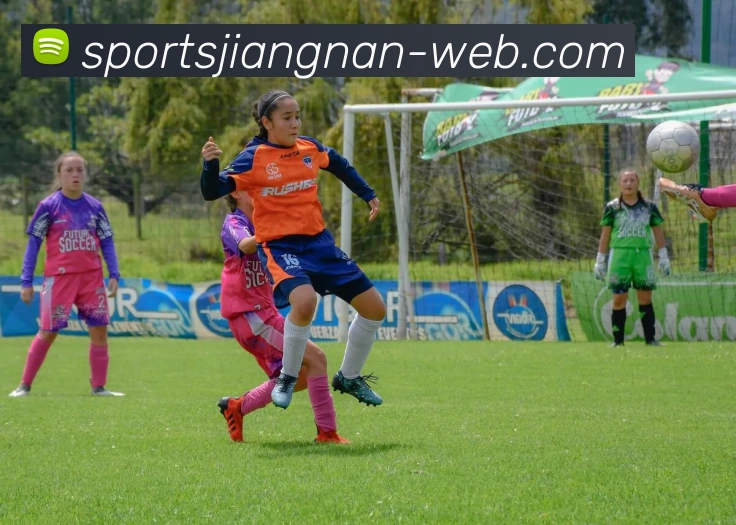 江南体育服务体系